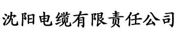 亚洲中字一区二区三区电缆厂logo